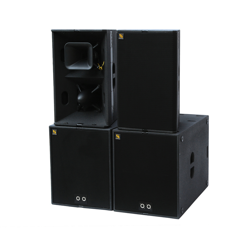 T24N Dual 12 Inch Loudspeaker With Excellent Speech Intelligibility And Musicality